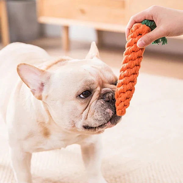 Pet Toys - PETLUXE