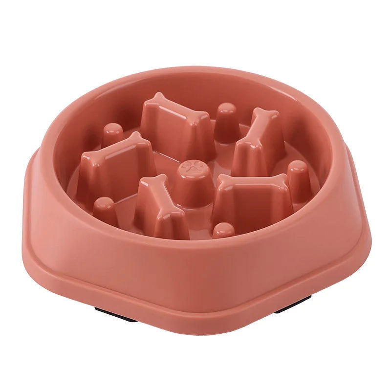Anti-Choking Slow Food Bowl for Cats & Dogs - PETLUXE