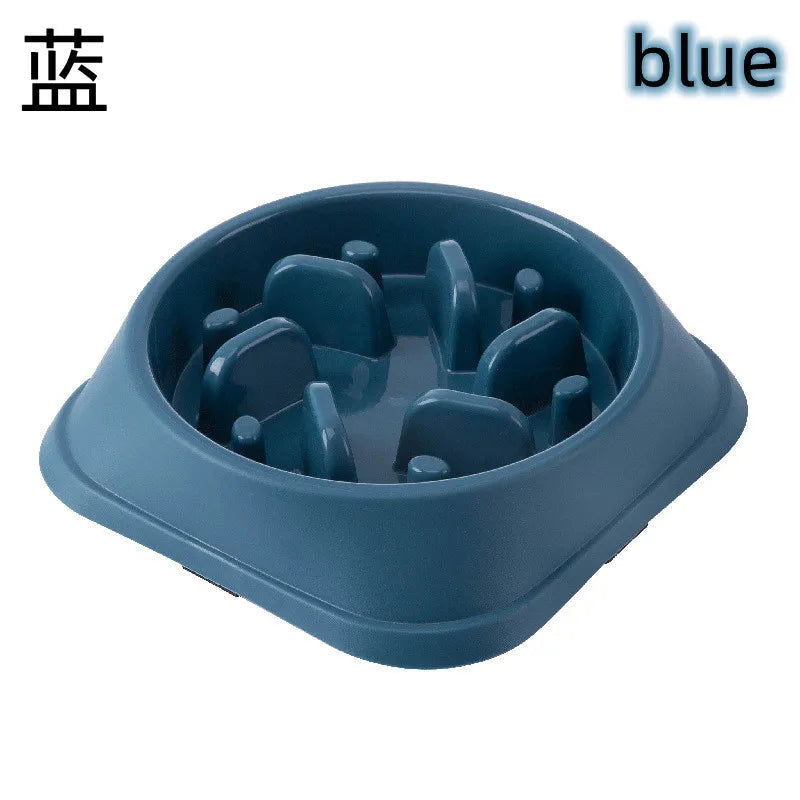 Anti-Choking Slow Food Bowl for Cats & Dogs - PETLUXE