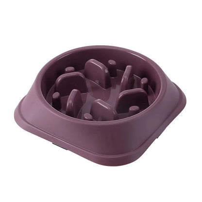 Anti-Choking Slow Food Bowl for Cats & Dogs - PETLUXE