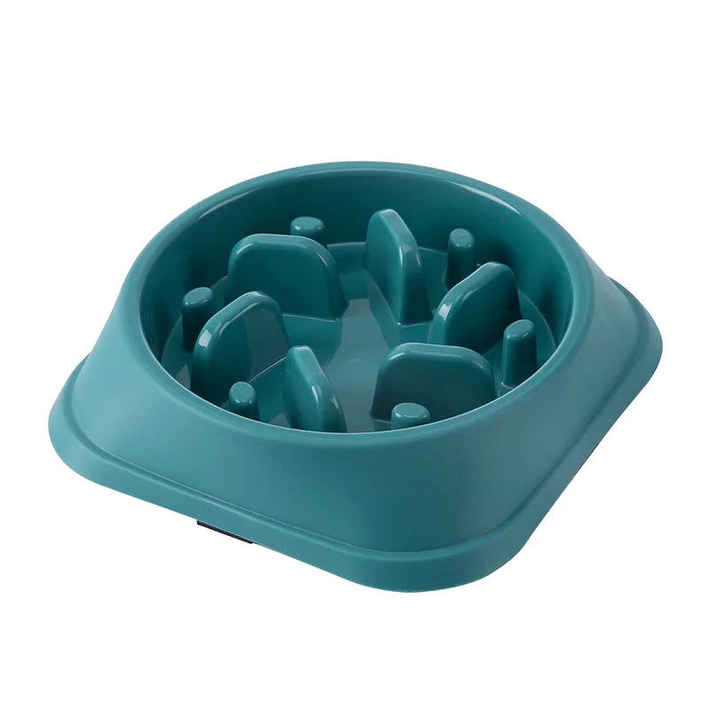 Anti-Choking Slow Food Bowl for Cats & Dogs - PETLUXE