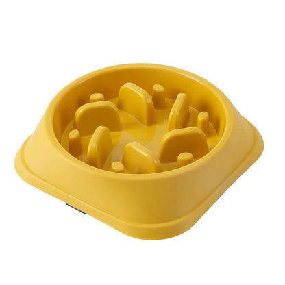 Anti-Choking Slow Food Bowl for Cats & Dogs - PETLUXE