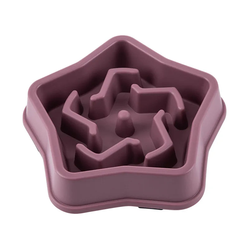 Anti-Choking Slow Food Bowl for Cats & Dogs - PETLUXE