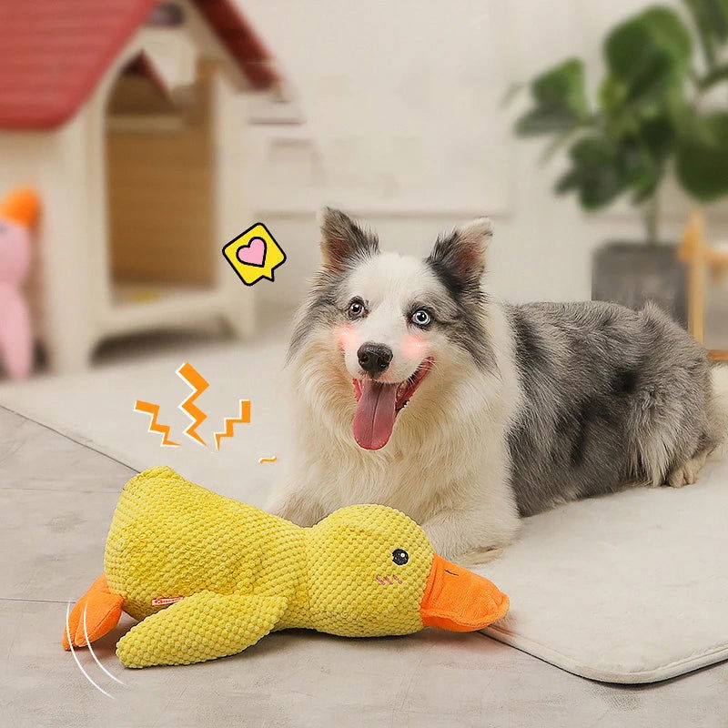 Calming Duck Dog Toy - PETLUXE