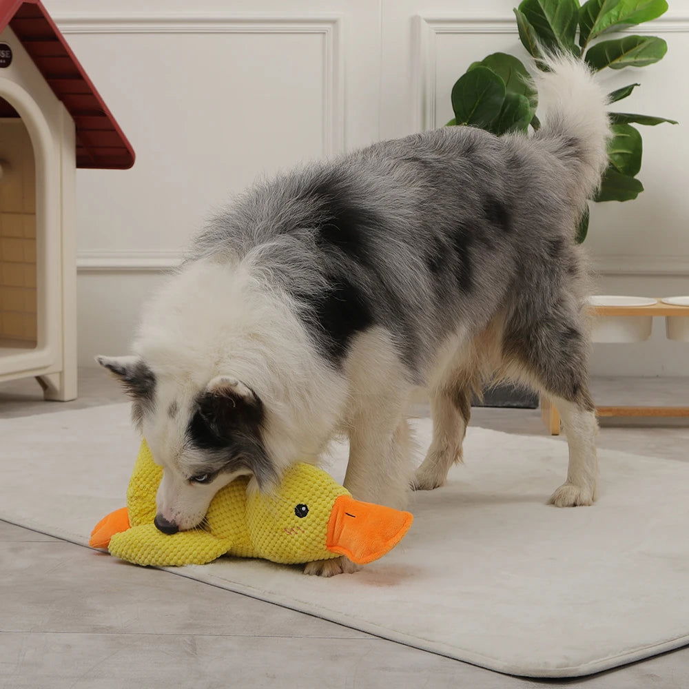 Calming Duck Dog Toy - PETLUXE