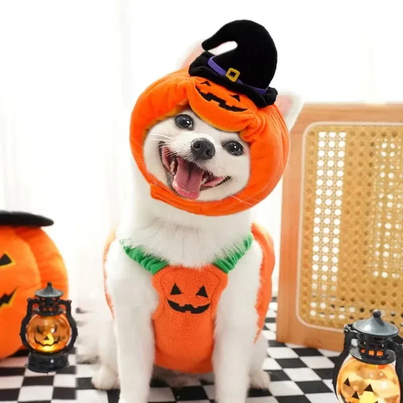 Funny Pumpkin Lantern Dog Costume - PETLUXE