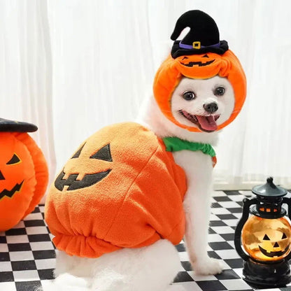 Funny Pumpkin Lantern Dog Costume - PETLUXE