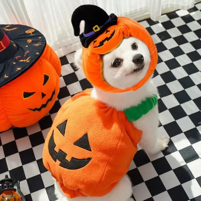 Funny Pumpkin Lantern Dog Costume - PETLUXE