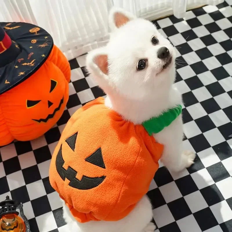 Funny Pumpkin Lantern Dog Costume - PETLUXE