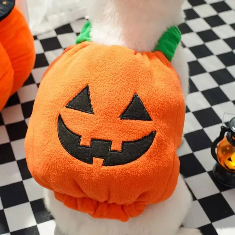 Funny Pumpkin Lantern Dog Costume - PETLUXE