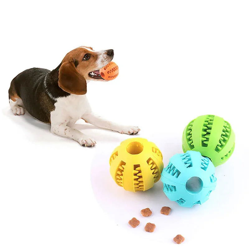 Interactive Chew Ball Toy for Dogs - PETLUXE