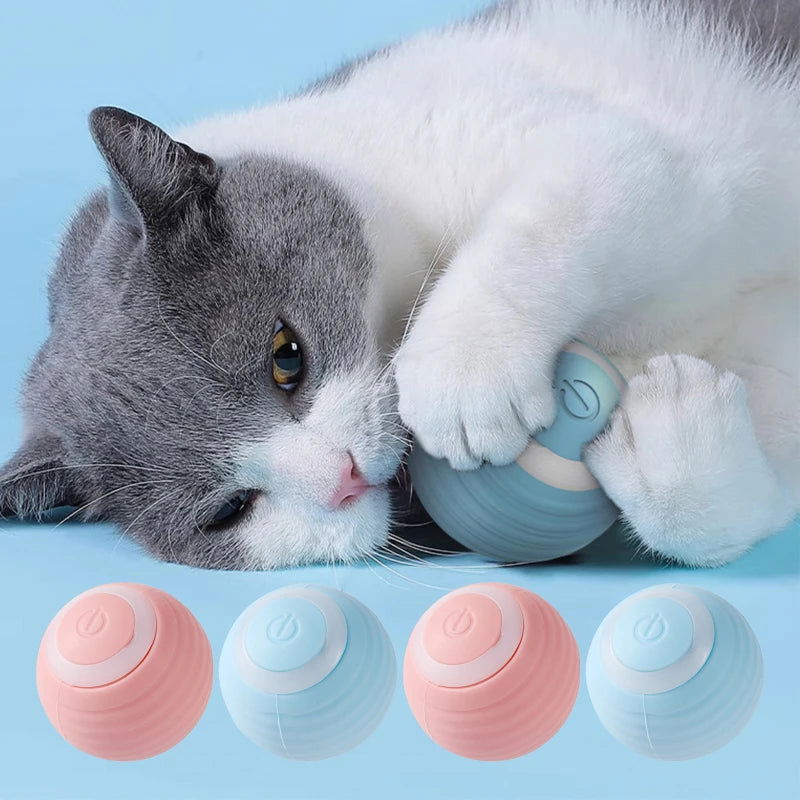 Interactive Rechargeable Rolling Ball Toy for Cats - PETLUXE