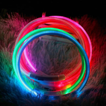 LED Dog Collar USB Luminous 3 Modes - PETLUXE
