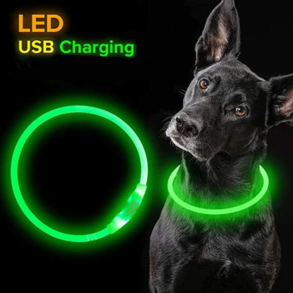 LED Dog Collar USB Luminous 3 Modes - PETLUXE