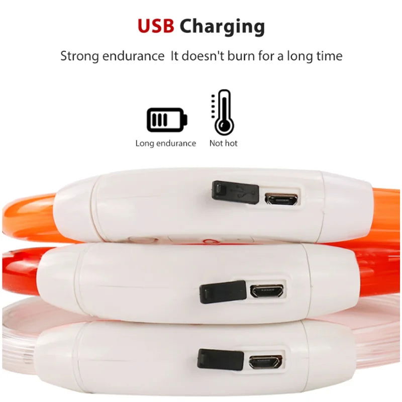 LED Dog Collar USB Luminous 3 Modes - PETLUXE