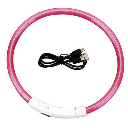 LED Dog Collar USB Luminous 3 Modes - PETLUXE