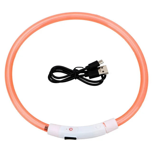LED Dog Collar USB Luminous 3 Modes - PETLUXE