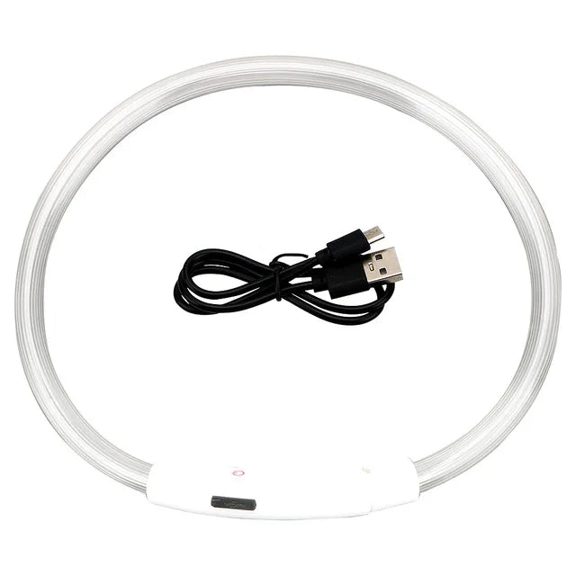 LED Dog Collar USB Luminous 3 Modes - PETLUXE
