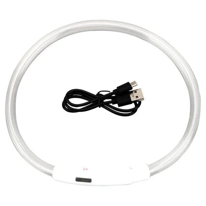 LED Dog Collar USB Luminous 3 Modes - PETLUXE