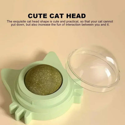 Lickable Catnip Balls for Cats - Play, Chew & Clean Teeth - PETLUXE