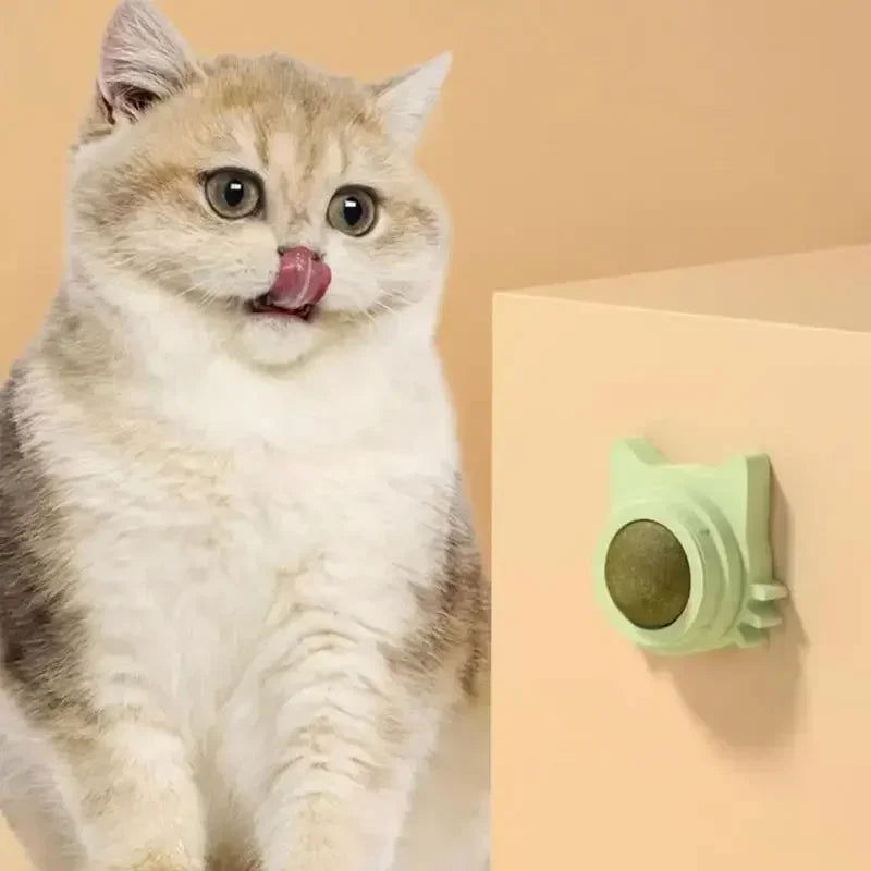 Lickable Catnip Balls for Cats - Play, Chew & Clean Teeth - PETLUXE