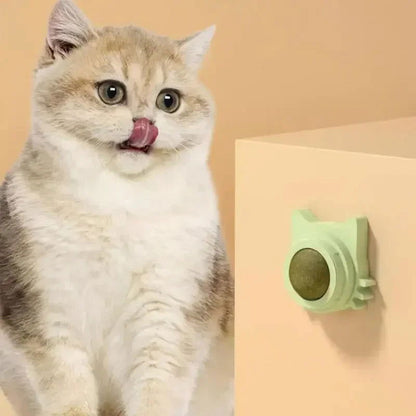 Lickable Catnip Balls for Cats - Play, Chew & Clean Teeth - PETLUXE