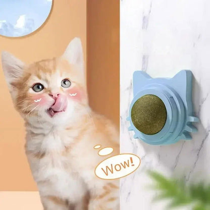 Lickable Catnip Balls for Cats - Play, Chew & Clean Teeth - PETLUXE