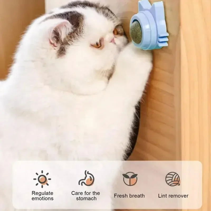 Lickable Catnip Balls for Cats - Play, Chew & Clean Teeth - PETLUXE