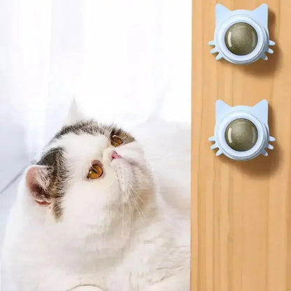 Lickable Catnip Balls for Cats - Play, Chew & Clean Teeth - PETLUXE