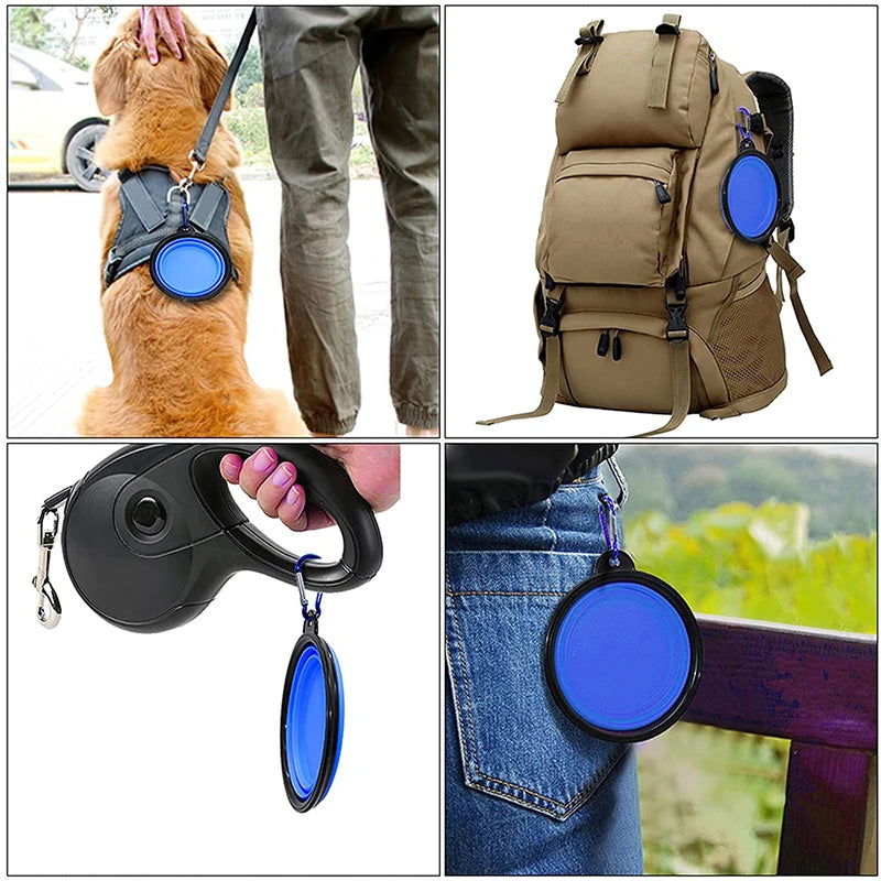 Portable 2-in-1 Dog and Cat Feeder Bowl - PETLUXE