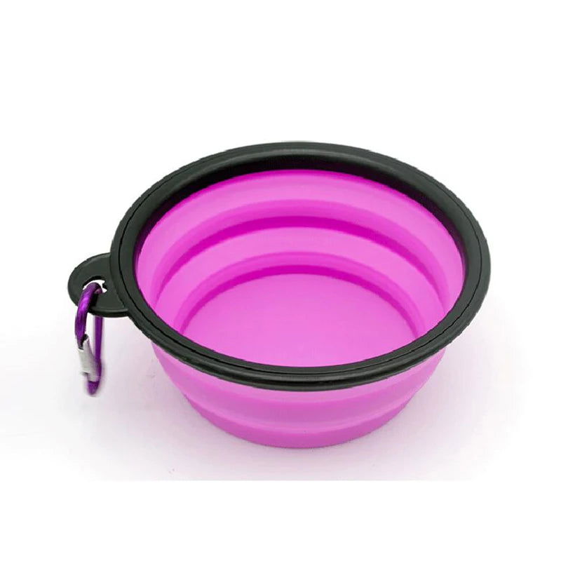 Portable 2-in-1 Dog and Cat Feeder Bowl - PETLUXE