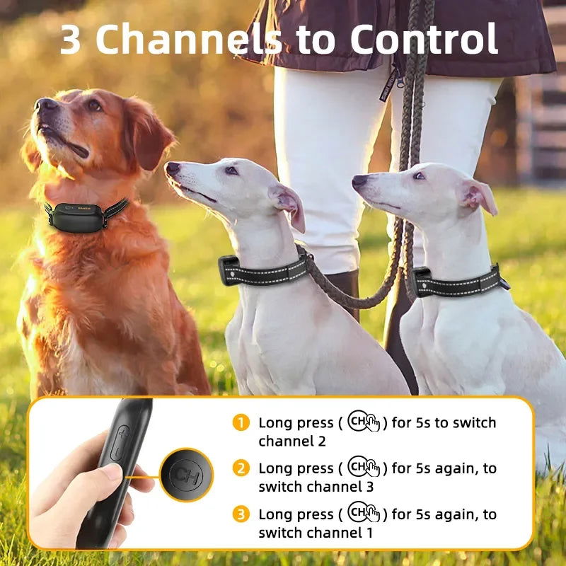 ROJECO Electric Dog Training Collar - PETLUXE