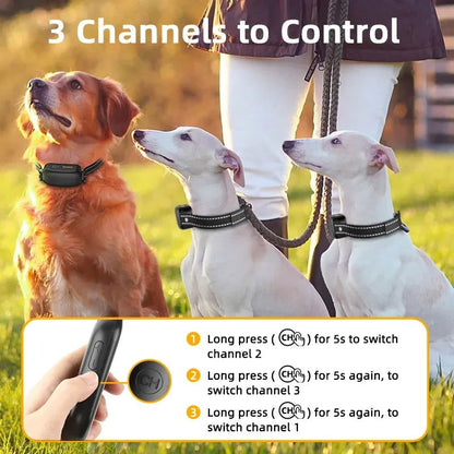 ROJECO Electric Dog Training Collar - PETLUXE