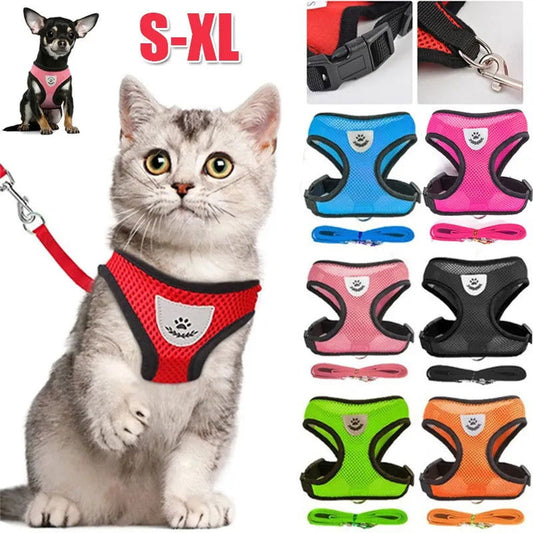 Reflective Mesh Harness with Leash for Small Dogs & Cats - PETLUXE