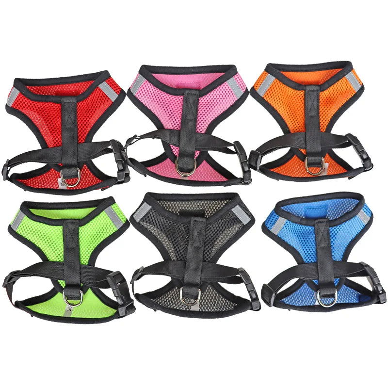 Reflective Mesh Harness with Leash for Small Dogs & Cats - PETLUXE
