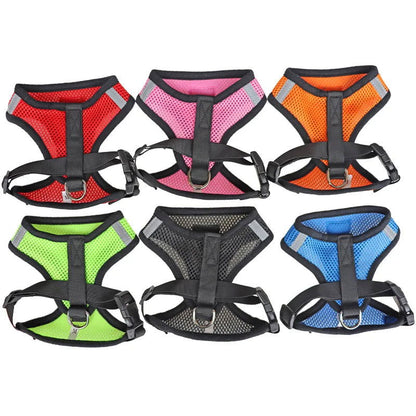 Reflective Mesh Harness with Leash for Small Dogs & Cats - PETLUXE