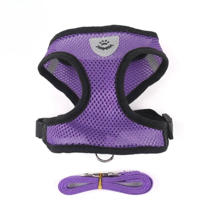 Reflective Mesh Harness with Leash for Small Dogs & Cats - PETLUXE