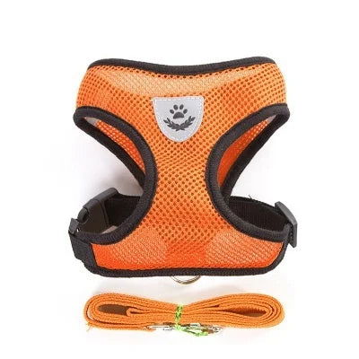 Reflective Mesh Harness with Leash for Small Dogs & Cats - PETLUXE