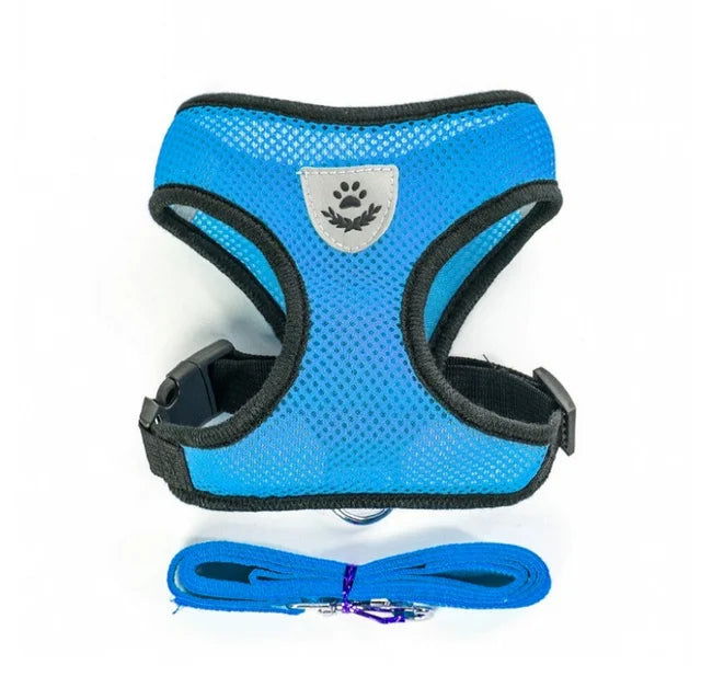 Reflective Mesh Harness with Leash for Small Dogs & Cats - PETLUXE
