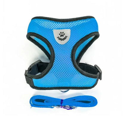 Reflective Mesh Harness with Leash for Small Dogs & Cats - PETLUXE