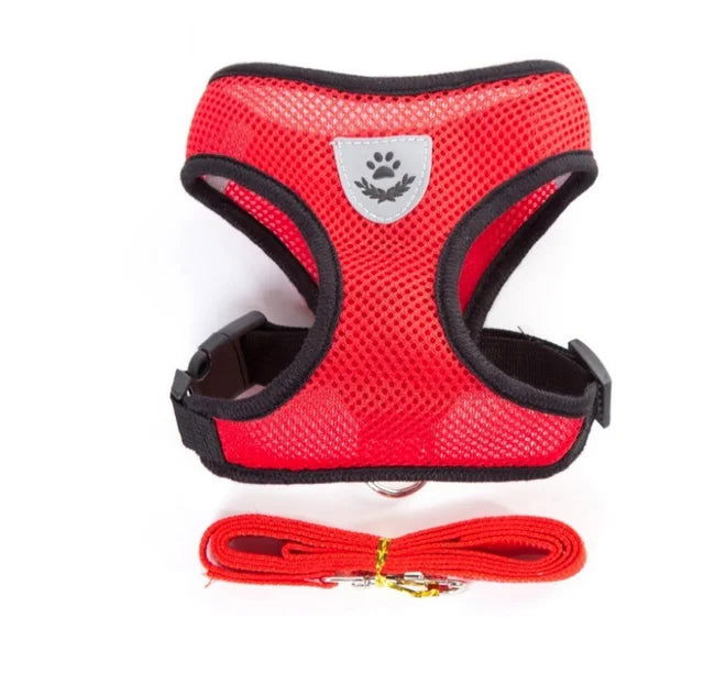 Reflective Mesh Harness with Leash for Small Dogs & Cats - PETLUXE