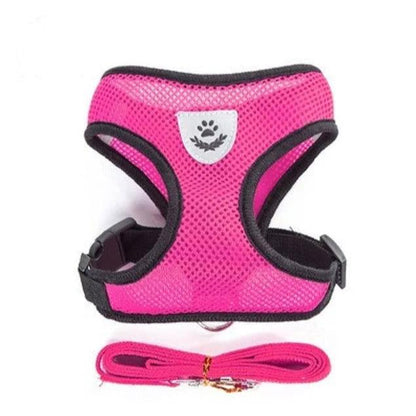 Reflective Mesh Harness with Leash for Small Dogs & Cats - PETLUXE