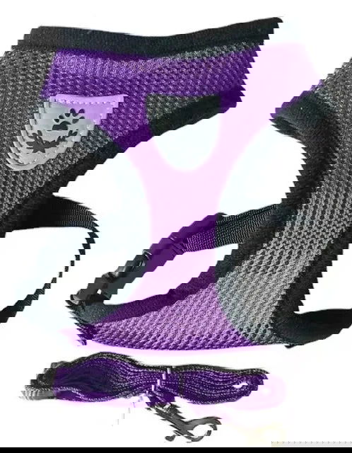 Reflective Mesh Harness with Leash for Small Dogs & Cats - PETLUXE