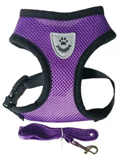 Reflective Mesh Harness with Leash for Small Dogs & Cats - PETLUXE
