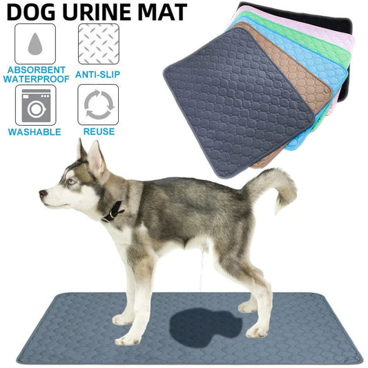 Reusable Dog Pee Pad & Training Mat - PETLUXE