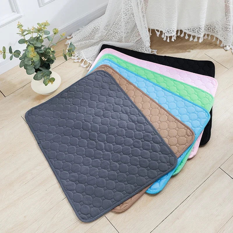 Reusable Dog Pee Pad & Training Mat - PETLUXE