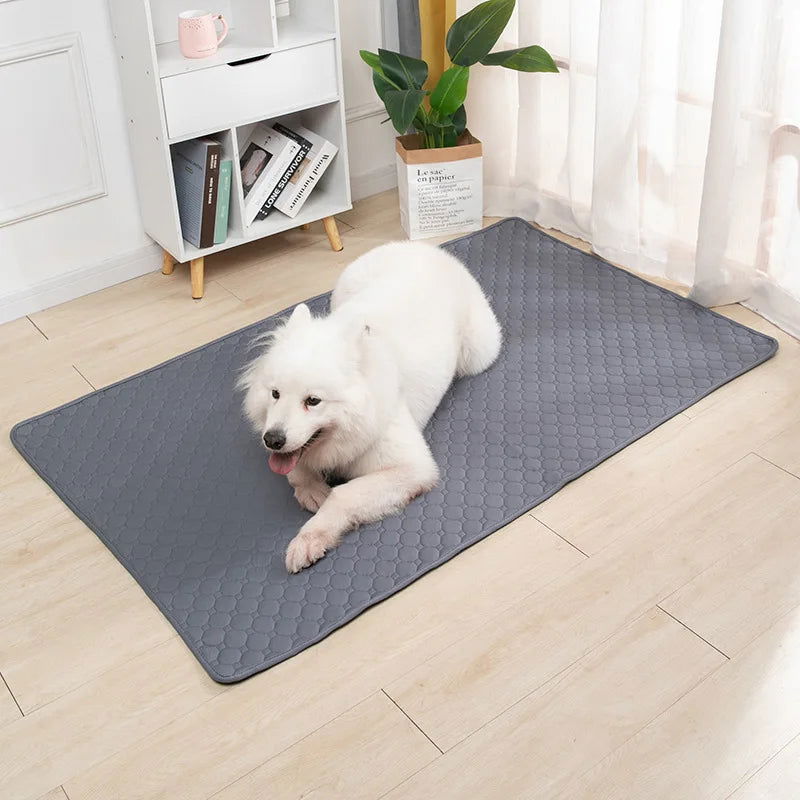 Reusable Dog Pee Pad & Training Mat - PETLUXE