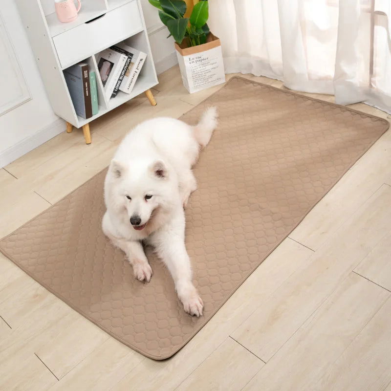 Reusable Dog Pee Pad & Training Mat - PETLUXE