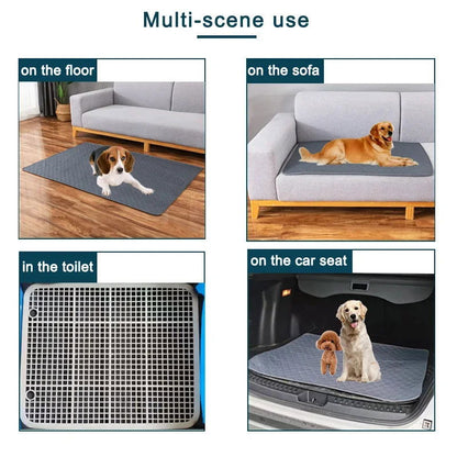 Reusable Dog Pee Pad & Training Mat - PETLUXE