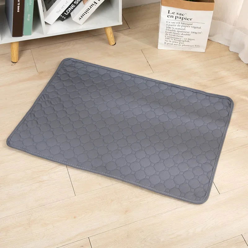 Reusable Dog Pee Pad & Training Mat - PETLUXE